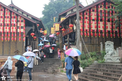 美丽金堂---五凤溪 协会活动